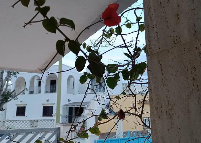 Fimar 托雷拉皮罗